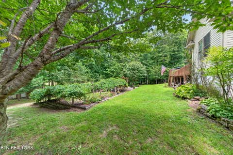 Tiny photo for 317 Georgee Rd, Jamestown, TN 38556 (MLS # 1349917)