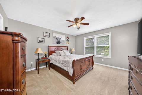 Tiny photo for 317 Georgee Rd, Jamestown, TN 38556 (MLS # 1349917)