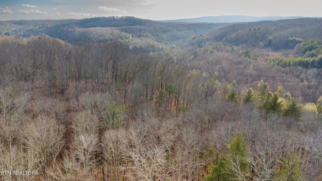 Photo of 258 Charlie Newberry Rd, Lancing, TN 37770 (MLS # 1321094)