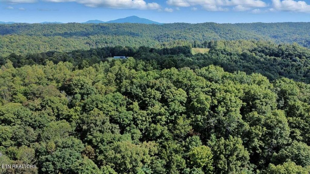 Photo of 258 Charlie Newberry Rd, Lancing, TN 37770 (MLS # 1321094)