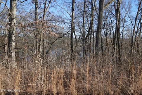 Tiny photo for E Shore Drive, Rockwood, TN 37854 (MLS # 1328950)