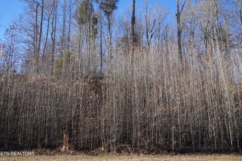 Tiny photo for E Shore Drive, Rockwood, TN 37854 (MLS # 1328950)