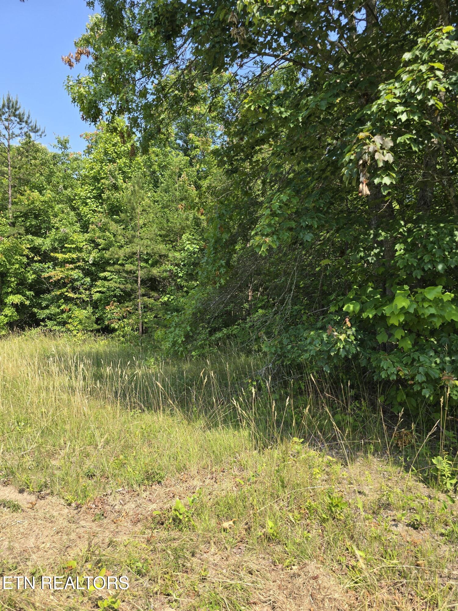 Lot 61 Stone Cliff Lane