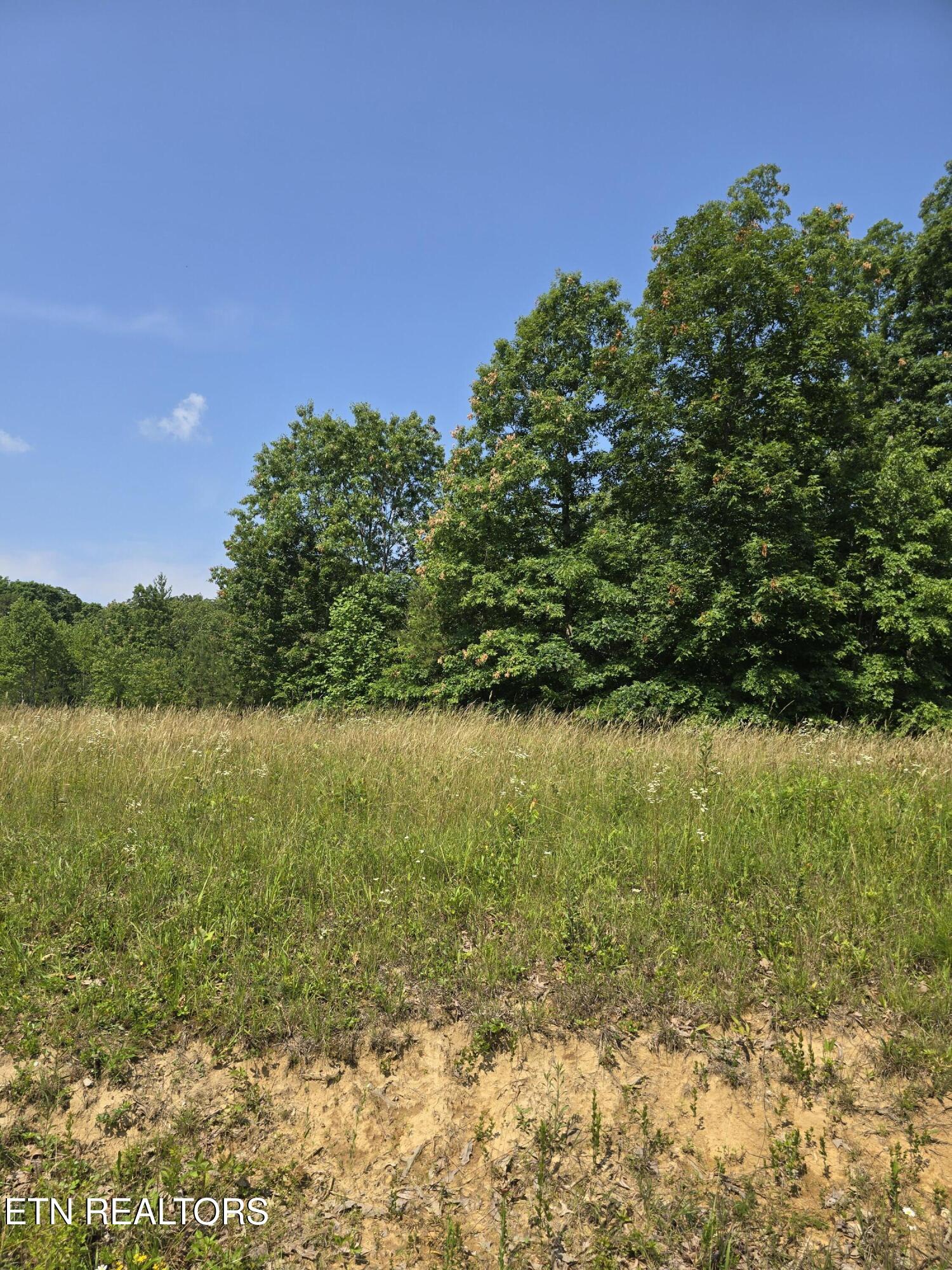 Lot 61 Stone Cliff Lane