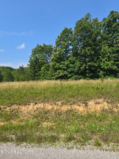 Lot 61 Stone Cliff Lane Jamestown TN 38556