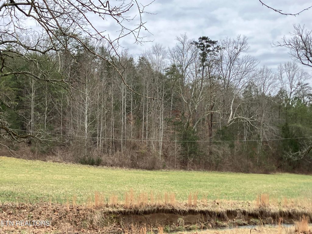 Photo of Lone Mountain Rd, New Tazewell, TN 37825 (MLS # 1290418)