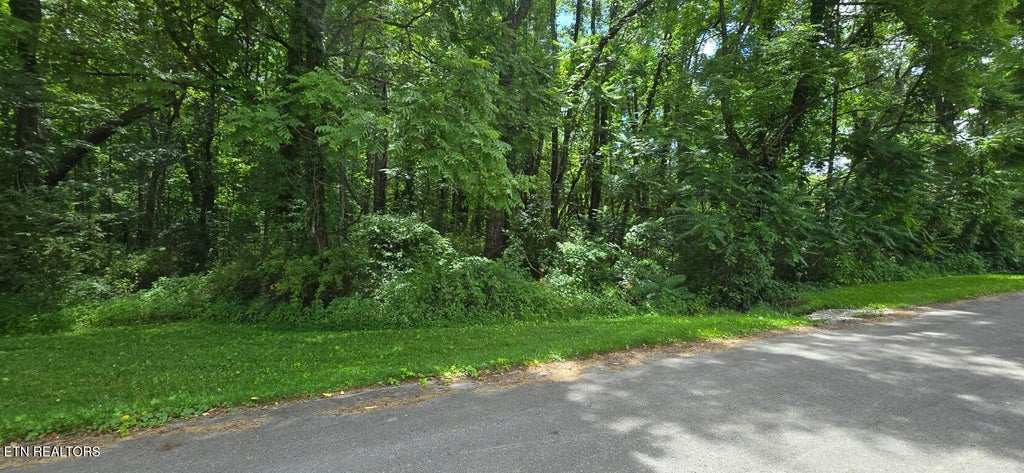 Photo of Shady Lane, Oneida, TN 37841 (MLS # 1344779)