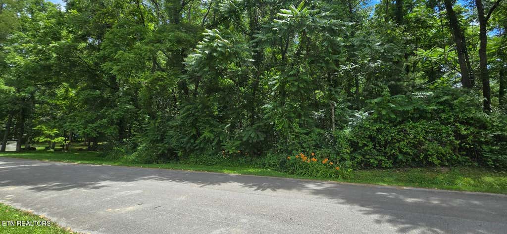 Photo of Shady Lane, Oneida, TN 37841 (MLS # 1344779)