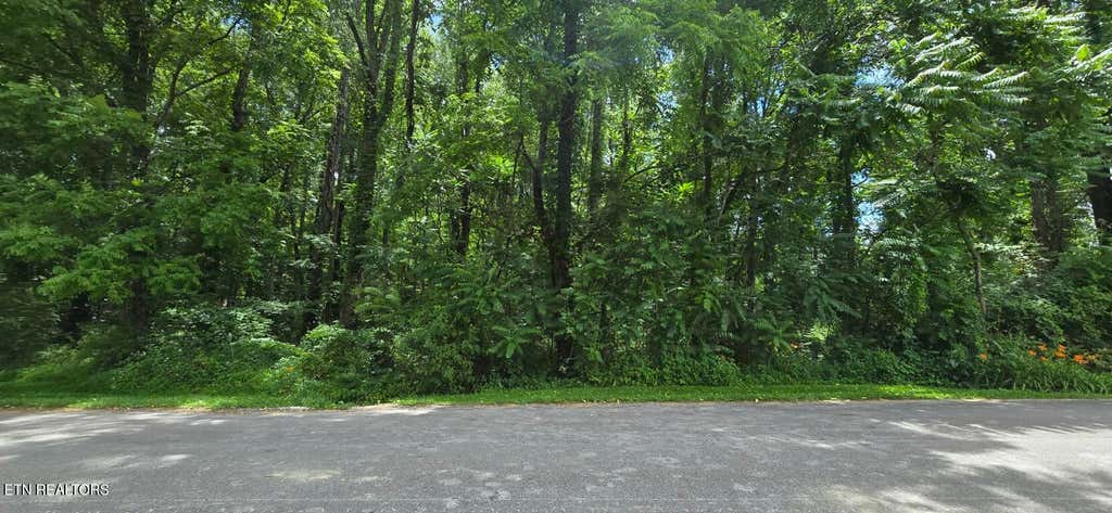 Photo of Shady Lane, Oneida, TN 37841 (MLS # 1344779)
