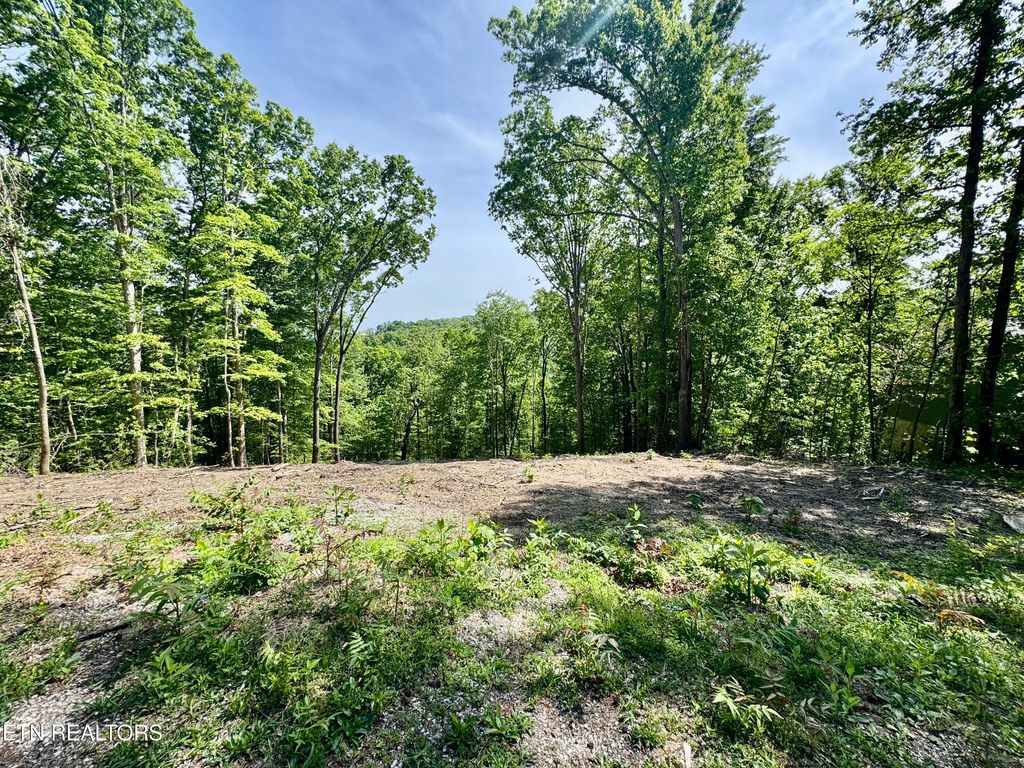 Photo of 102 Cheri Lane, Caryville, TN 37714 (MLS # 1339941)