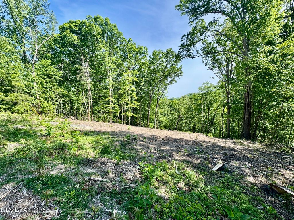 Photo of 102 Cheri Lane, Caryville, TN 37714 (MLS # 1339941)