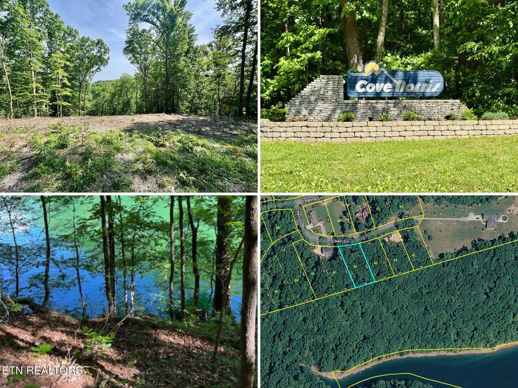 Photo of 102 Cheri Lane, Caryville, TN 37714 (MLS # 1339941)