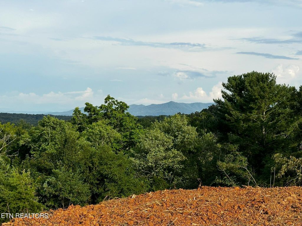 Photo of E Meeting St, Dandridge, TN 37725 (MLS # 1286920)