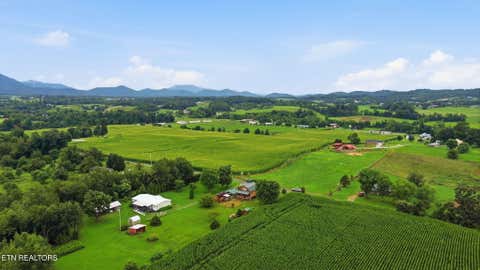 Tiny photo for 445 Ricker Rd, Greeneville, TN 37743 (MLS # 1349716)