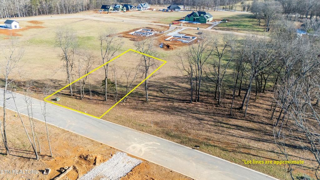 Photo of 1226 Kellys View Drive, Greenback, TN 37742 (MLS # 1287326)