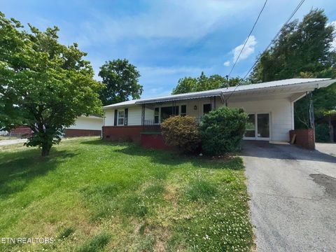 Tiny photo for 606 S 13th St, LaFollette, TN 37766 (MLS # 1341588)