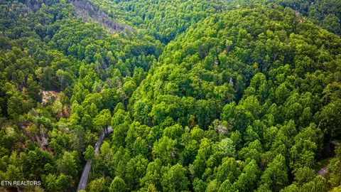 Tiny photo for Lot 9 Stepping Stone Drive, Sevierville, TN 37862 (MLS # 1328861)