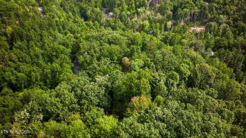 Tiny photo for Lot 9 Stepping Stone Drive, Sevierville, TN 37862 (MLS # 1328861)