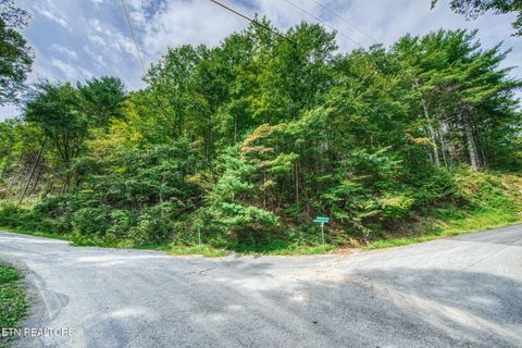 Tiny photo for Lot 9 Stepping Stone Drive, Sevierville, TN 37862 (MLS # 1328861)