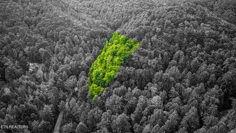 Tiny photo for Lot 9 Stepping Stone Drive, Sevierville, TN 37862 (MLS # 1328861)