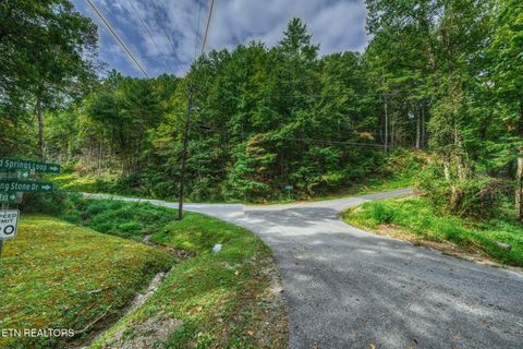 Tiny photo for Lot 9 Stepping Stone Drive, Sevierville, TN 37862 (MLS # 1328861)
