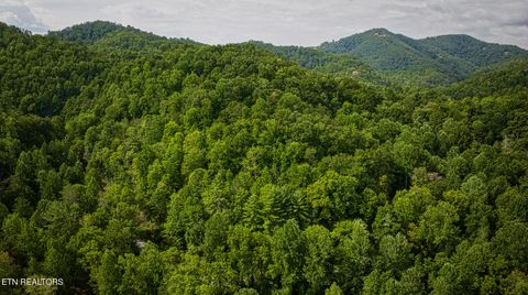 Tiny photo for Lot 9 Stepping Stone Drive, Sevierville, TN 37862 (MLS # 1328861)