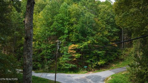 Photo of Lot 9 Stepping Stone Drive, Sevierville, TN 37862 (MLS # 1328861)