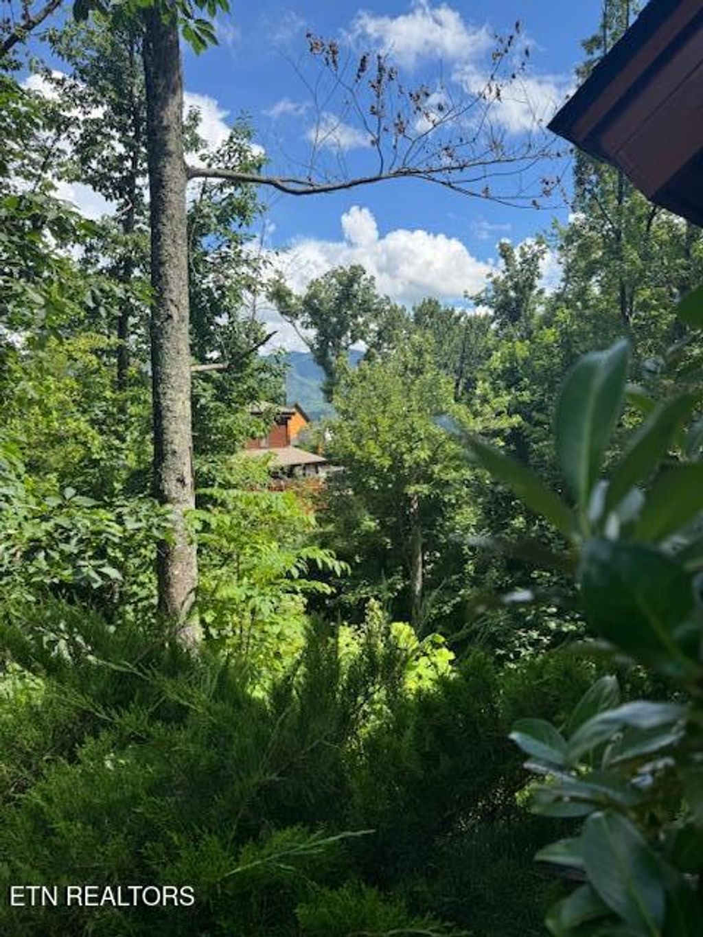 Photo of 917 Pine Cone Way, Gatlinburg, TN 37738 (MLS # 1309181)