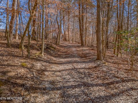 Tiny photo for 1150 Sequoyah Rd, Andersonville, TN 37705 (MLS # 1330301)