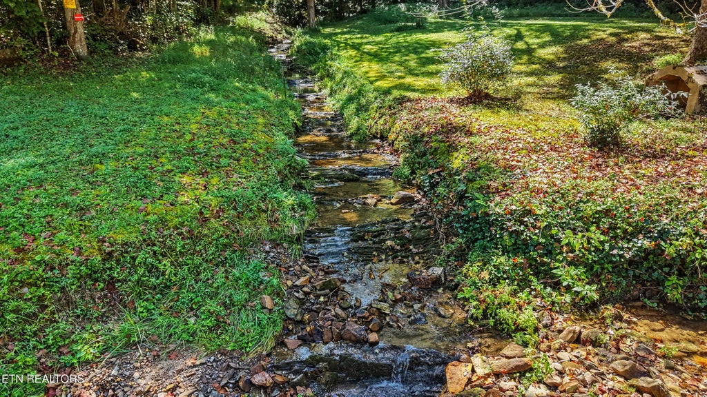 Photo of 23 Cold Springs Rd, Walland, TN 37886 (MLS # 1353478)