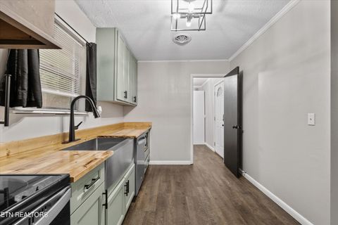 Tiny photo for 235 Five Points Rd, Decatur, TN 37322 (MLS # 1327686)