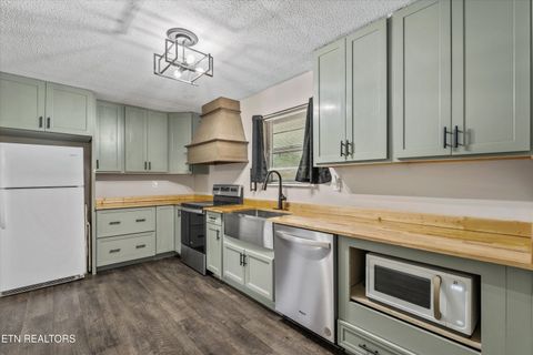 Tiny photo for 235 Five Points Rd, Decatur, TN 37322 (MLS # 1327686)