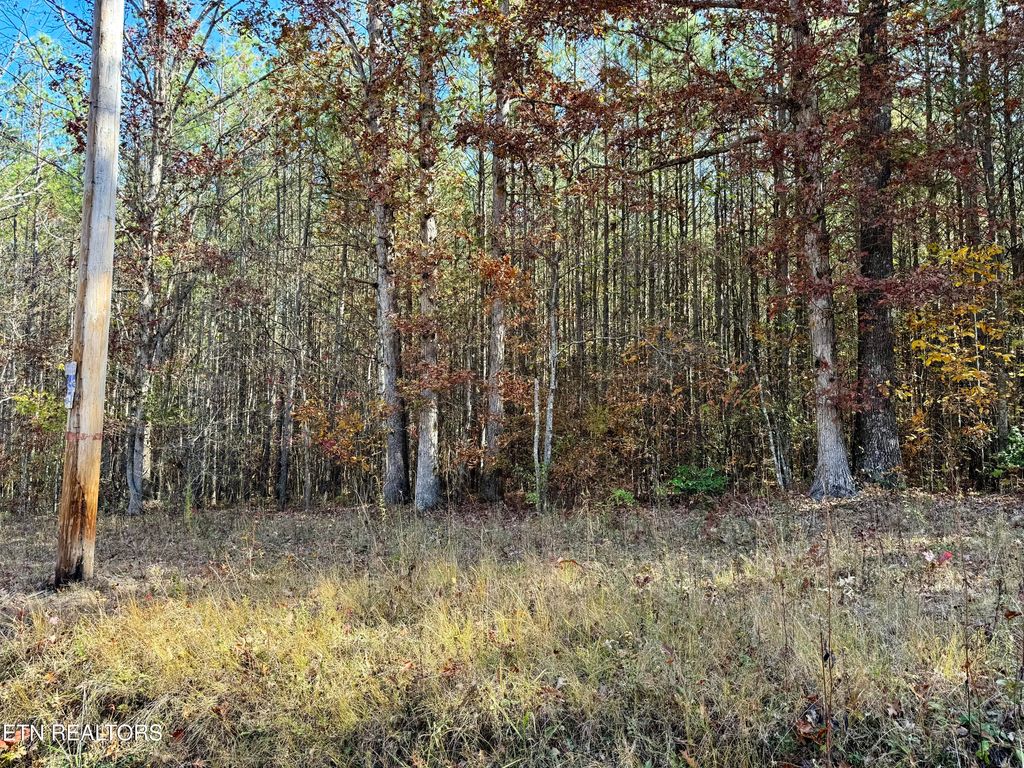 Photo of Lower Rockwood Rd Lot 24, Rockwood, TN 37854 (MLS # 1281360)