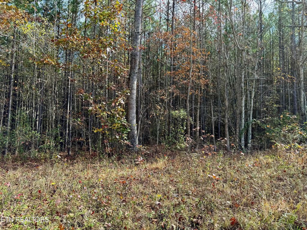 Photo of Lower Rockwood Rd Lot 24, Rockwood, TN 37854 (MLS # 1281360)