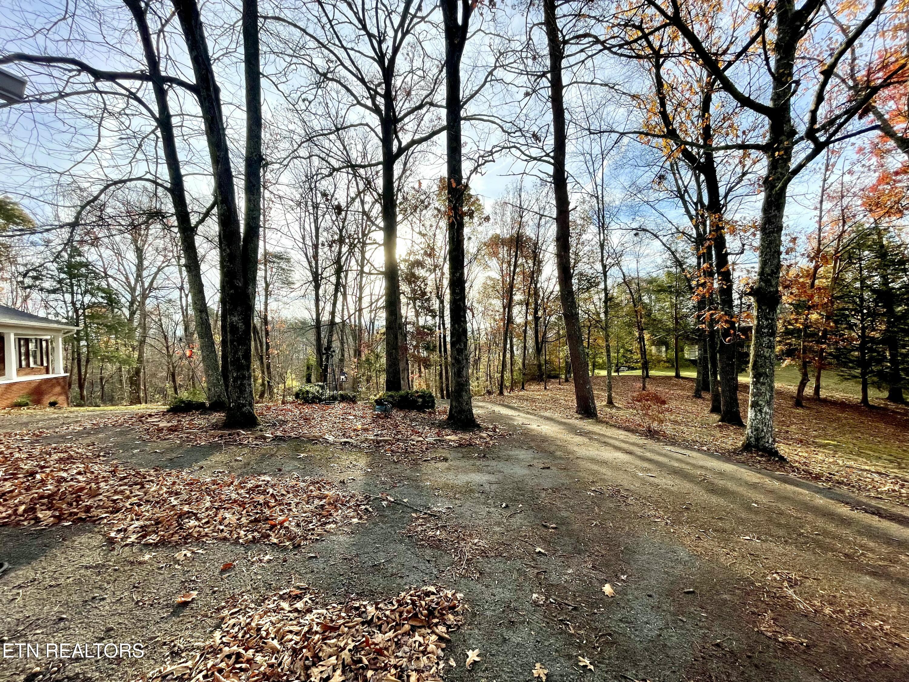 340 Mountain View Drive