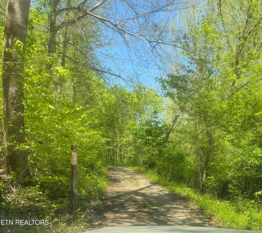 Photo of Anna, Clairfield, TN 37715 (MLS # 1340253)