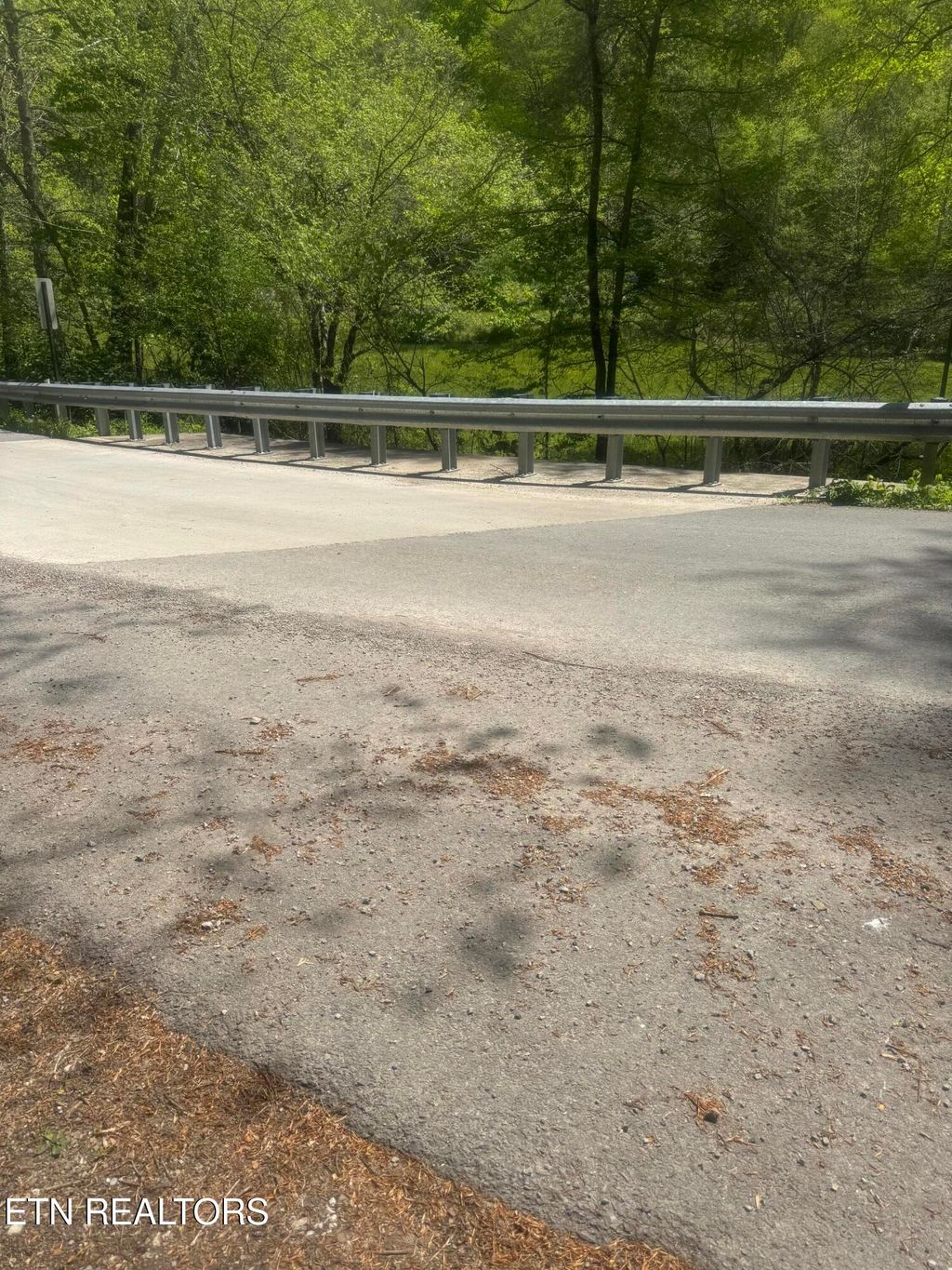 Photo of Anna, Clairfield, TN 37715 (MLS # 1340253)
