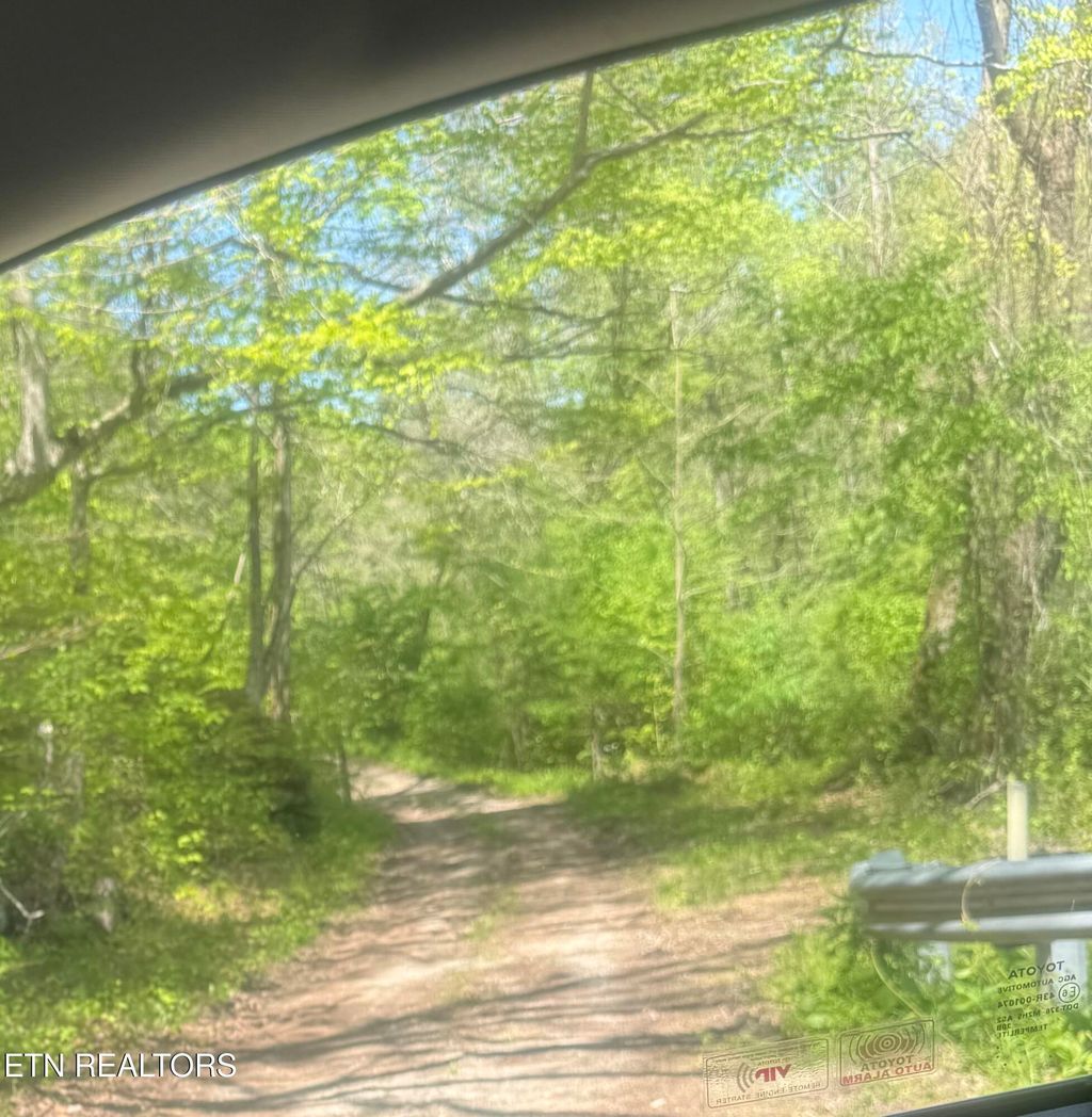Photo of Anna, Clairfield, TN 37715 (MLS # 1340253)