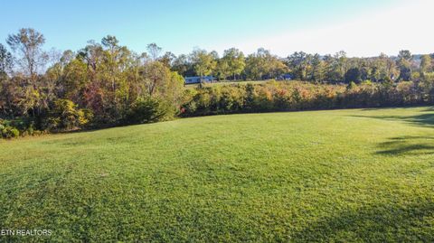 Photo of 0 Old Bear Creek Rd, Winfield, TN 37892 (MLS # 1318928)