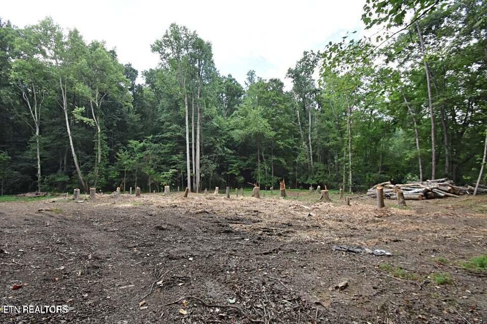 Photo of 0 Early Rd #2a, Knoxville, TN 37922 (MLS # 1351023)