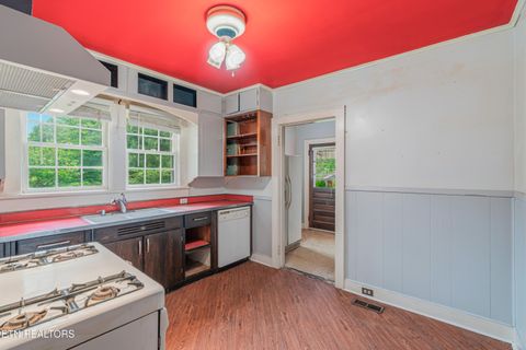 Tiny photo for 3315 Bellevue St, Knoxville, TN 37917 (MLS # 1344048)