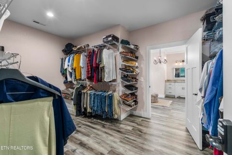 Tiny photo for 5925 Sevierville Rd, Seymour, TN 37865 (MLS # 1331982)