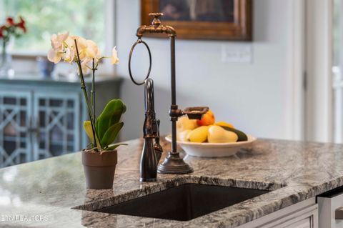 Tiny photo for 5925 Sevierville Rd, Seymour, TN 37865 (MLS # 1331982)