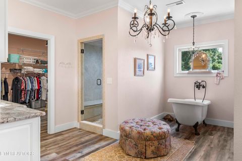 Tiny photo for 5925 Sevierville Rd, Seymour, TN 37865 (MLS # 1331982)