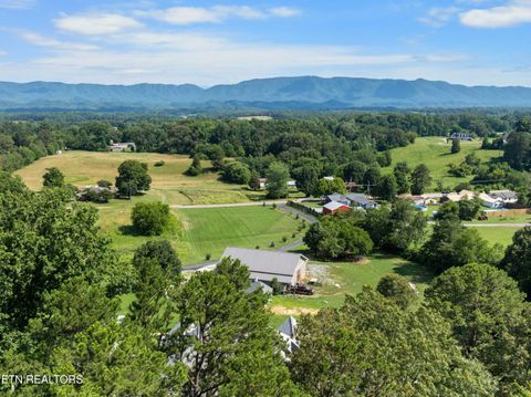 Tiny photo for 5925 Sevierville Rd, Seymour, TN 37865 (MLS # 1331982)