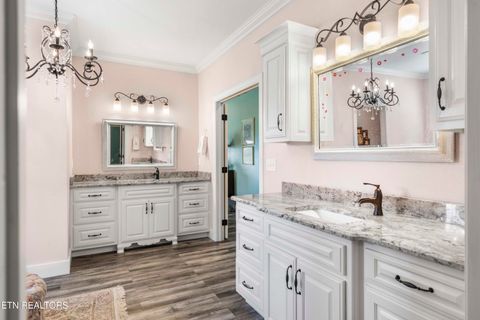 Tiny photo for 5925 Sevierville Rd, Seymour, TN 37865 (MLS # 1331982)