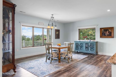 Tiny photo for 5925 Sevierville Rd, Seymour, TN 37865 (MLS # 1331982)