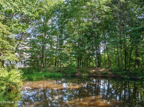 Tiny photo for 5925 Sevierville Rd, Seymour, TN 37865 (MLS # 1331982)