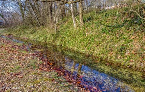 Tiny photo for 415 N Ridge Ave, Rockwood, TN 37854 (MLS # 1333365)