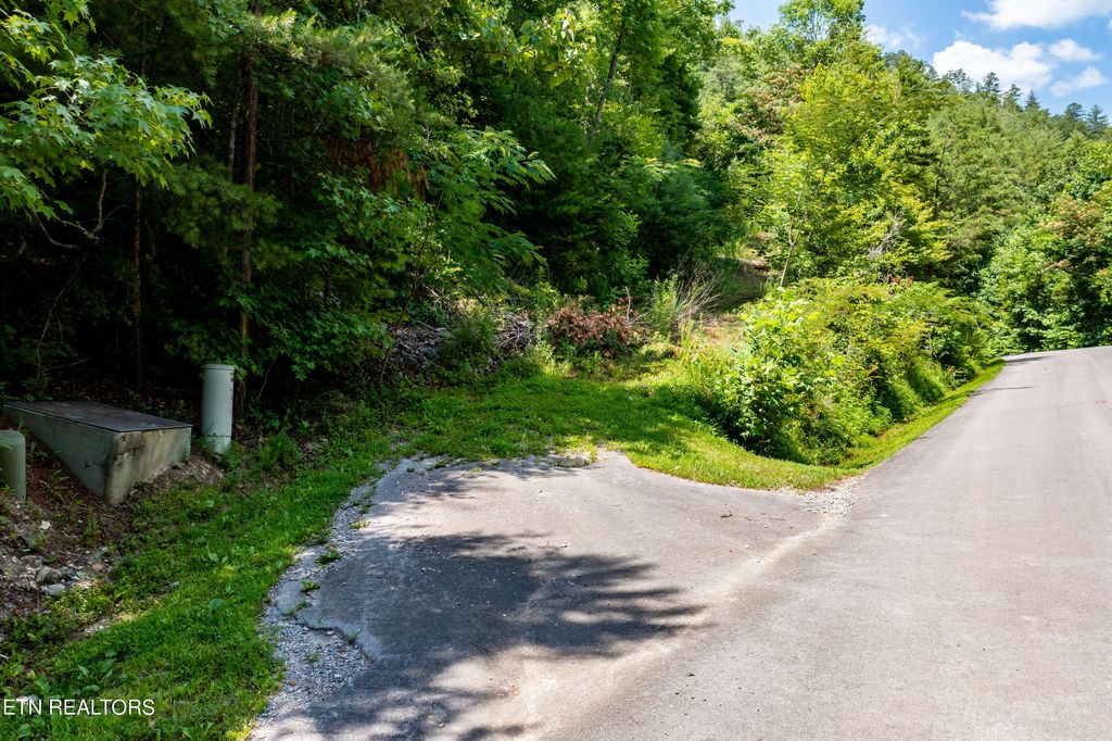 Photo of 129 Anatole Pass Pass, Townsend, TN 37882 (MLS # 1268180)